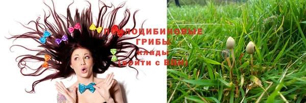 дживик Вязники
